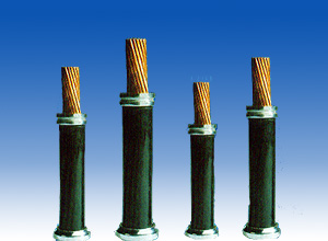 ���ֹ��ʡ�F66(�й���)�ٷ���վ